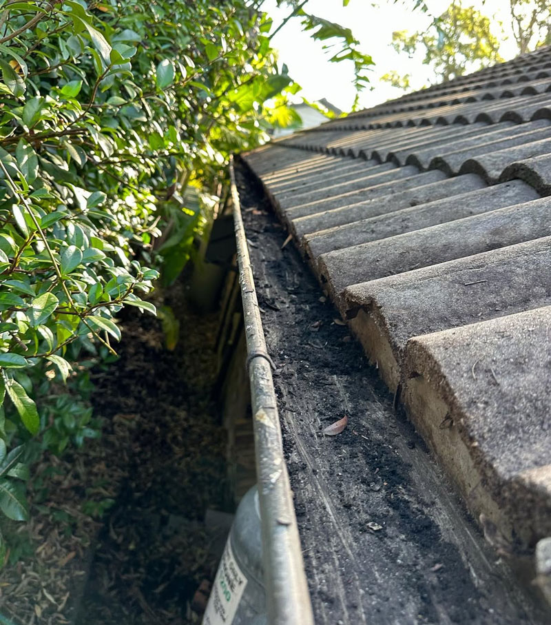 gutter-cleaning-after