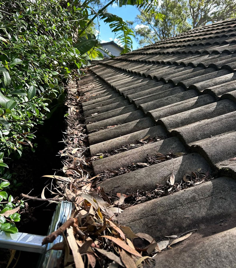 gutter-cleaning-before